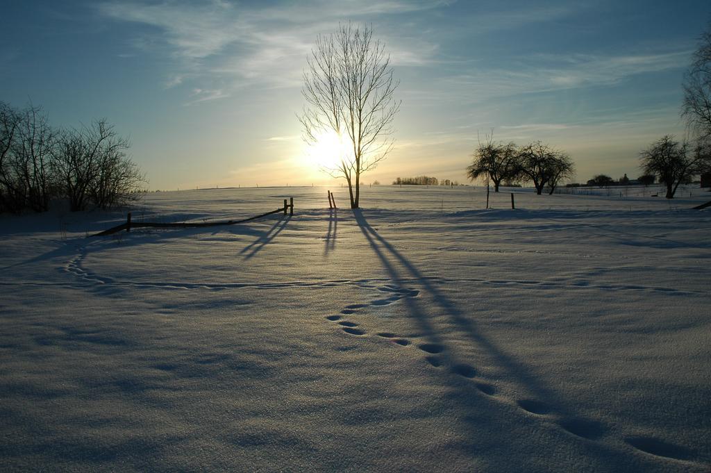 Przystanek Rospuda Farm stay *